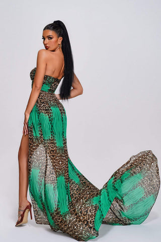 Fenby Leopard Strapless Maxi Dress