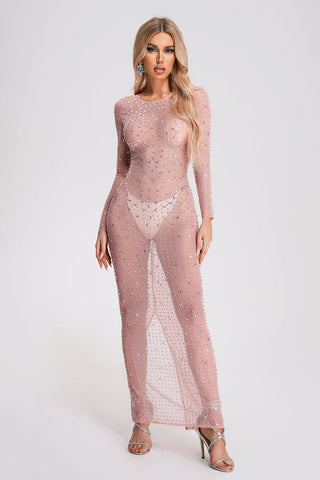 Rosel Glitter Mesh Maxi Dress