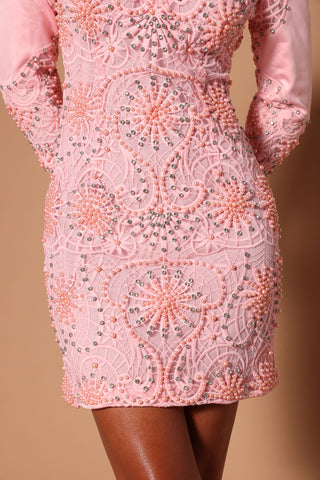 Sabrina Embroidered Mini Dress