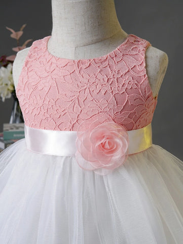Baby Appliques Contrast Lace Mesh Overlay Party Dress