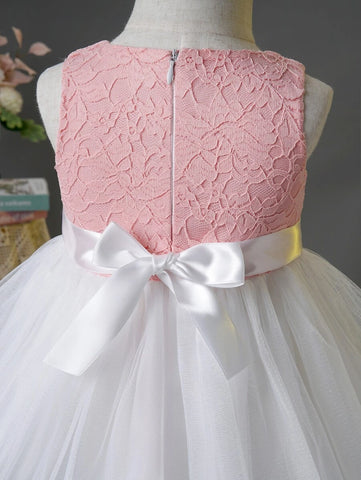 Baby Appliques Contrast Lace Mesh Overlay Party Dress