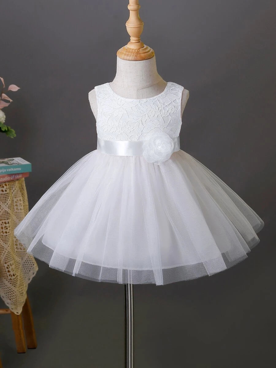 Baby Appliques Contrast Lace Mesh Overlay Party Dress