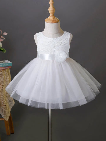 Baby Appliques Contrast Lace Mesh Overlay Party Dress