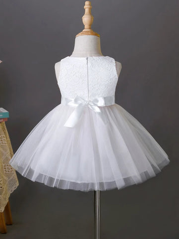 Baby Appliques Contrast Lace Mesh Overlay Party Dress