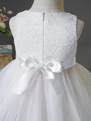 Baby Appliques Contrast Lace Mesh Overlay Party Dress