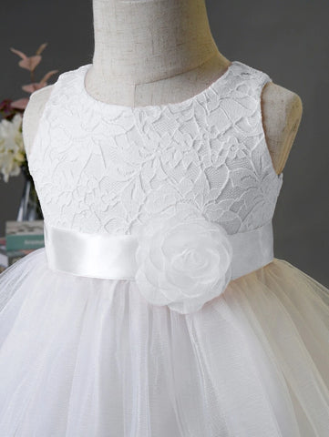 Baby Appliques Contrast Lace Mesh Overlay Party Dress