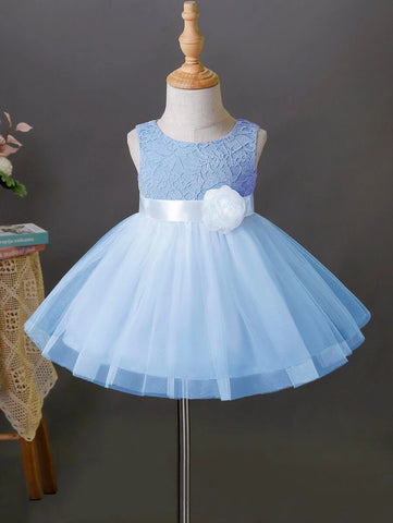 Baby Appliques Contrast Lace Mesh Overlay Party Dress