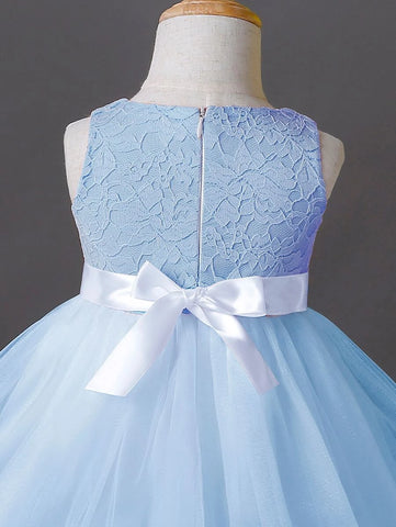 Baby Appliques Contrast Lace Mesh Overlay Party Dress