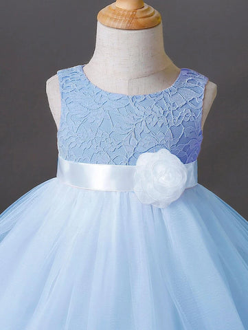 Baby Appliques Contrast Lace Mesh Overlay Party Dress