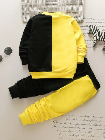 Toddler Boys Cartoon Face Print Two Tone Sweatshirt & Sweatpants