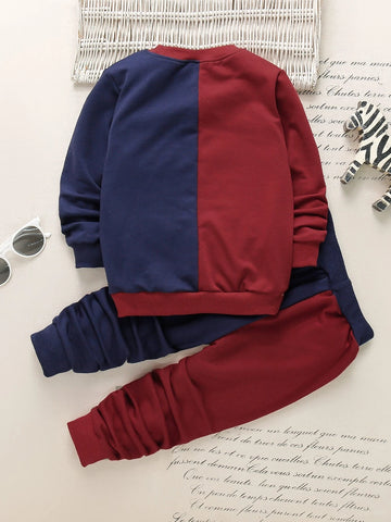 Toddler Boys Cartoon Face Print Two Tone Sweatshirt & Sweatpants