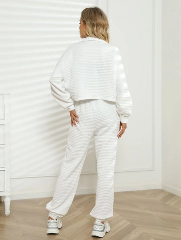 Solid Zip Up Drop Shoulder Sweatshirt & Sweatpants