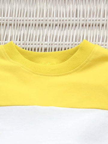 Toddler Boys Color Block Pullover & Contrast Side Seam Sweatpants