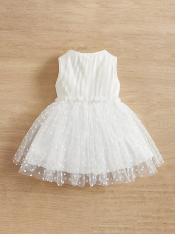 Baby Contrast Dobby Mesh Appliques Dress