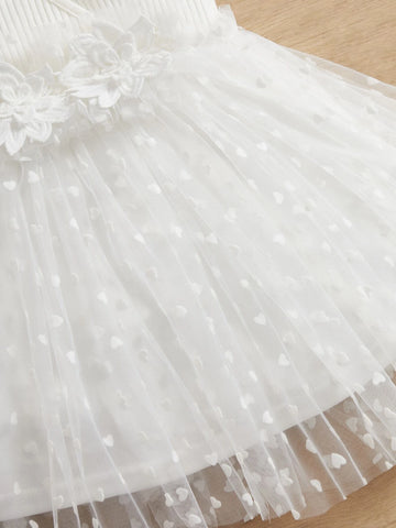 Baby Contrast Dobby Mesh Appliques Dress